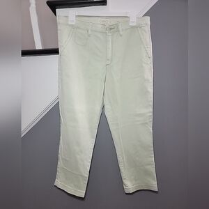 Chino By Anthropologie Light Green Cotton Blend Slim Fit Pants Size 30
